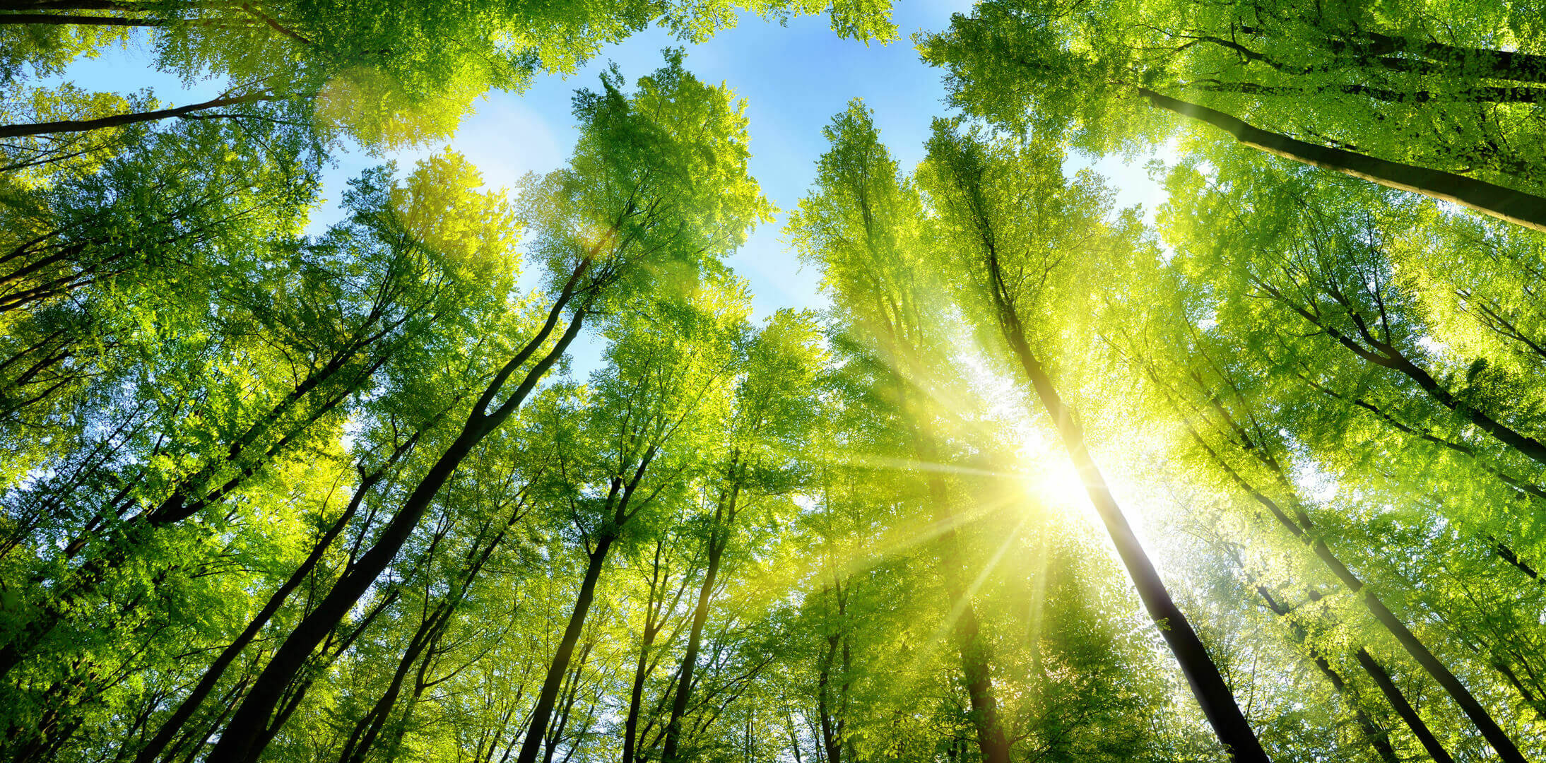 Lbox Communications - Working for a better, ethical tomorrow